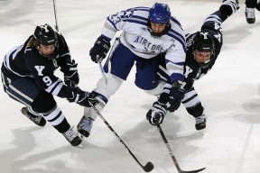 开云·体育官网APP下载-巴伦西亚主场告捷，成功收获喜人结果，巴伦西亚转会