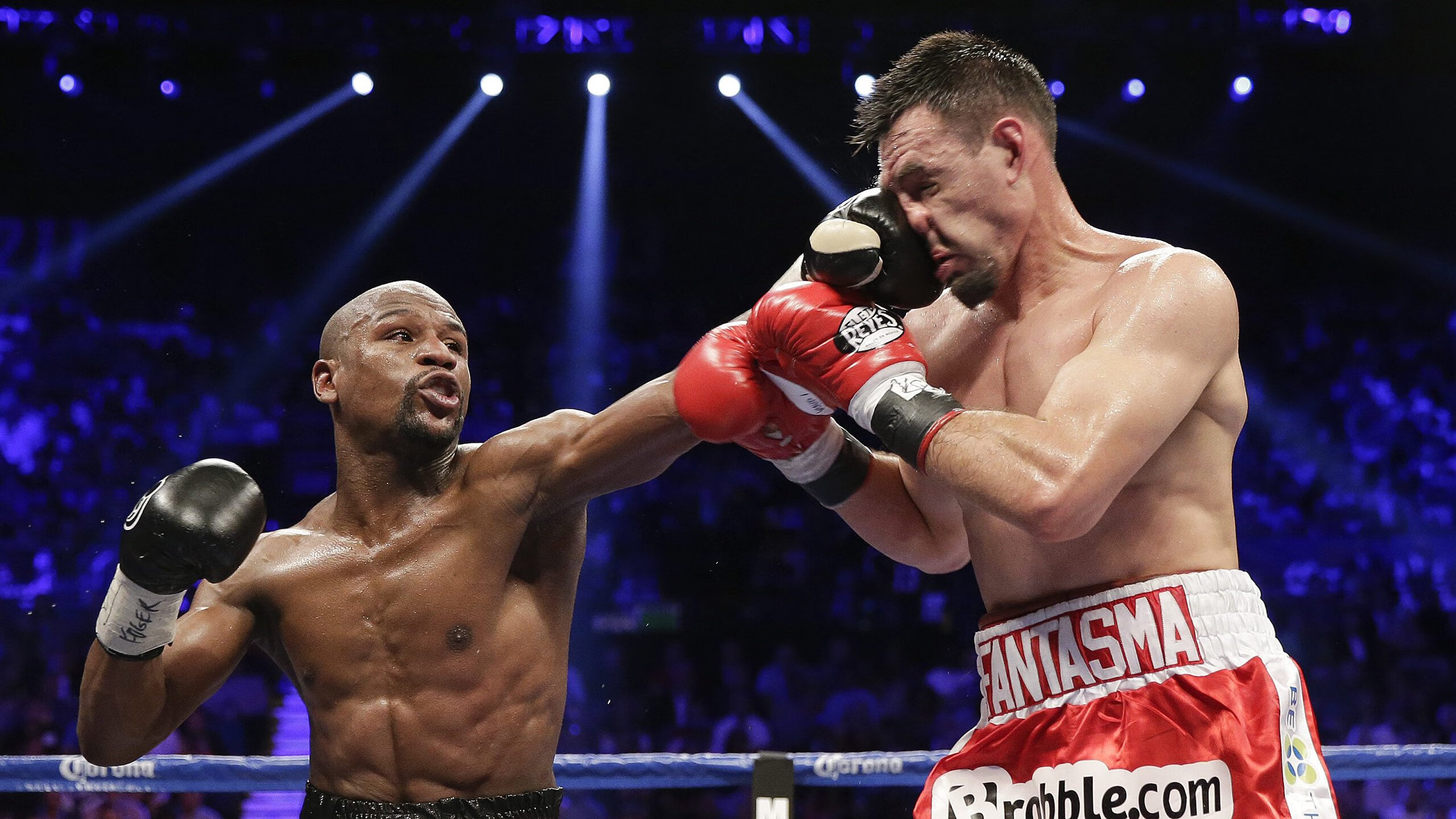 “彼得森助南非羚羊队登顶世界舞台”